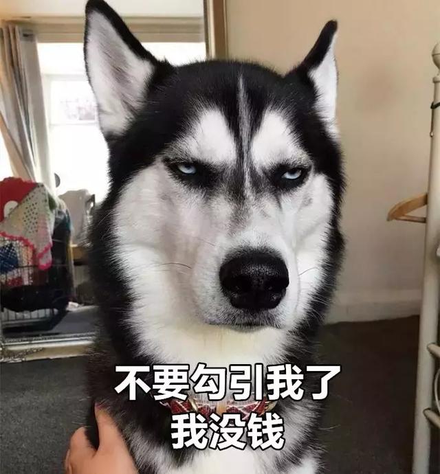 1604899666251731.jpg a57c510e189741768f9ad0767a0f64ab.jpg